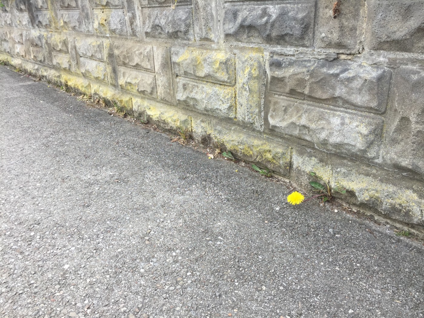 Lichtblick in calvinistischem Grau?
