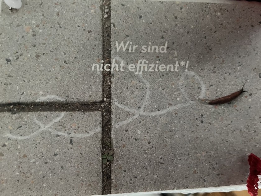Effizienz-Schnecke